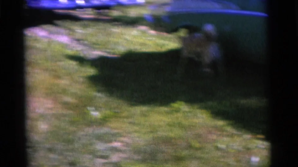 A handheld frame shows a grassy residential yard with the lower edge of a parked car, softened by motion blur and 8mm grain.