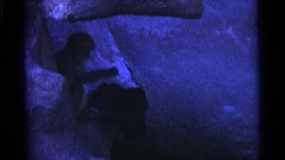 1961 Camden home-movie frame showing a monkey in silhouette beside rough rocks under blue-tinted low light.