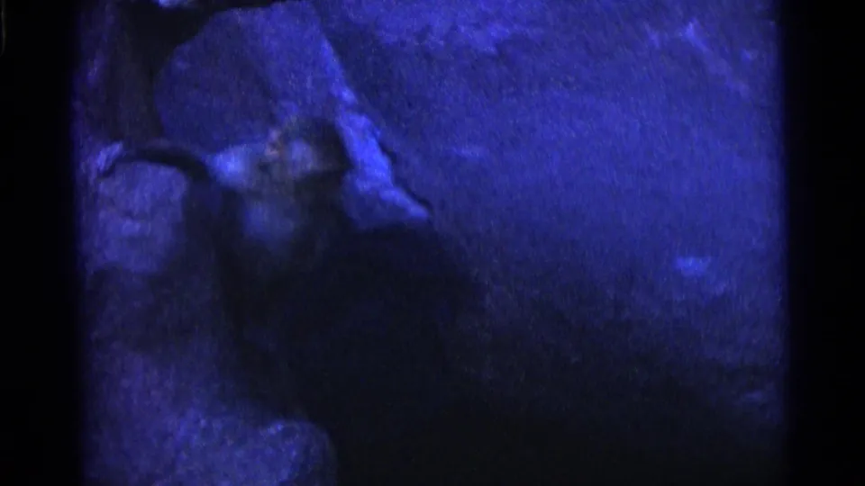 Low-light 8mm frame showing the monkey partly lost in shadow near the rocky enclosure floor, with a strong blue film cast.