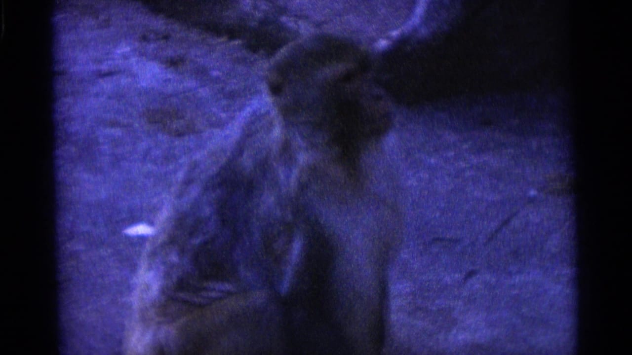Monkey sitting in a dim blue-lit enclosure with rough wall behind it.