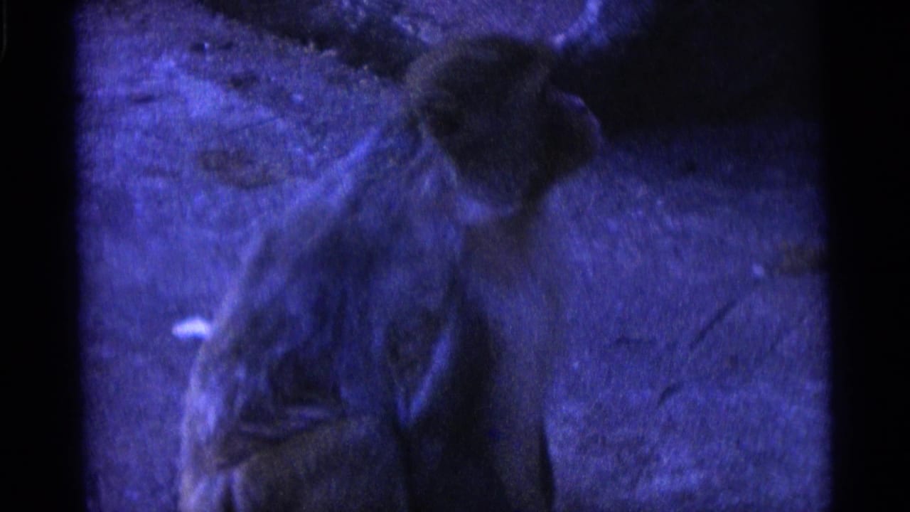 Monkey turned partly away in a blue-lit enclosure.