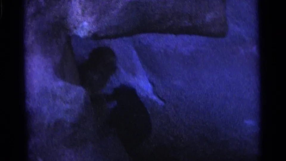 Grainy 8mm frame shows the monkey lower in the enclosure, with its body partly shadowed under strong blue illumination.