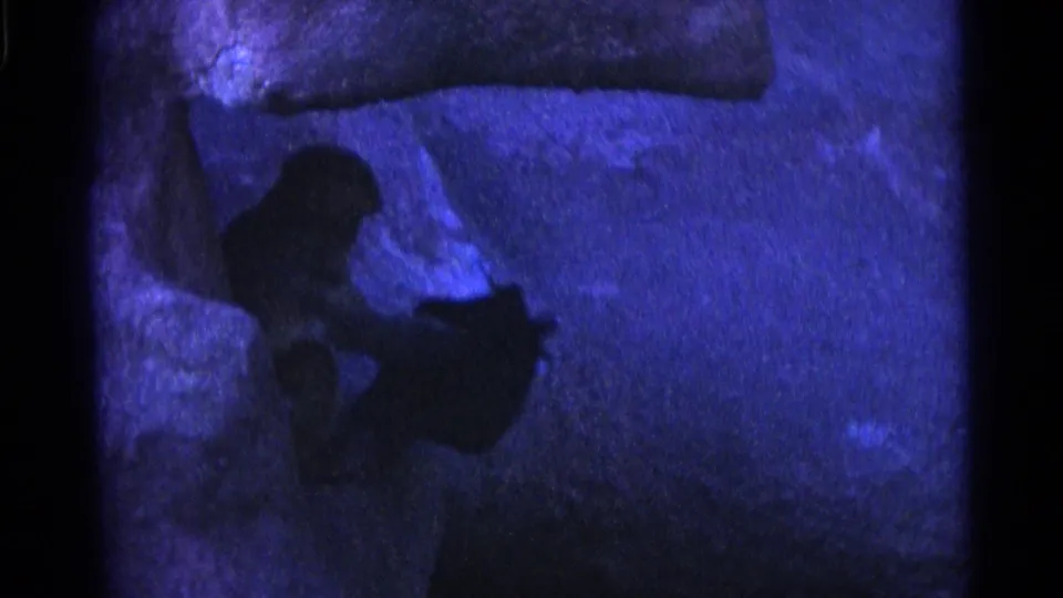 End frame of the short 1961 Camden clip shows the monkey crouched near the enclosure wall, rendered with blue low-light 8mm grain.