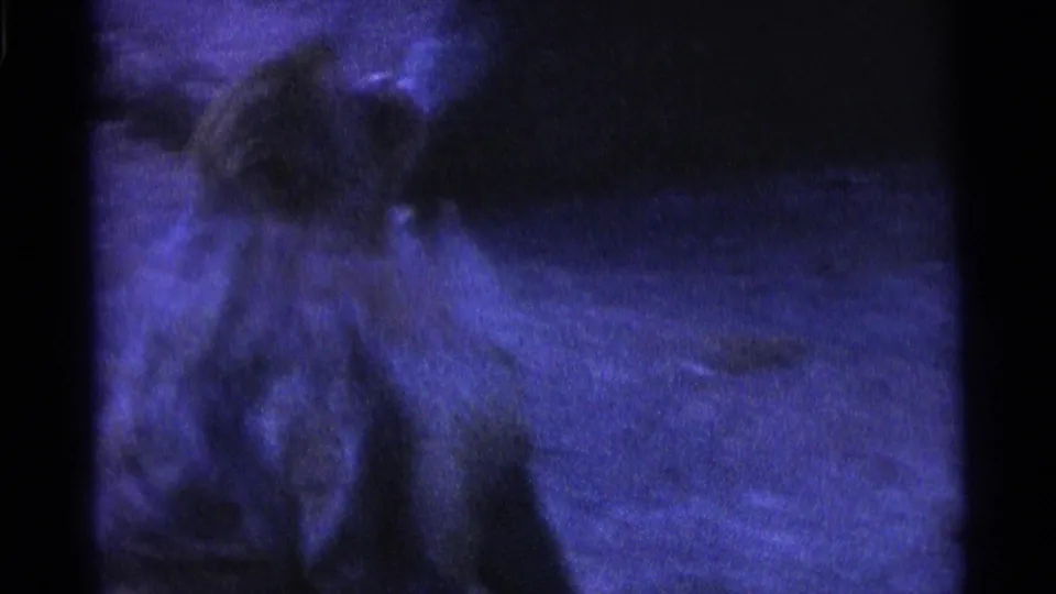 A soft, blurred 8mm frame shows the monkey partly turned near a darker area of the zoo enclosure.