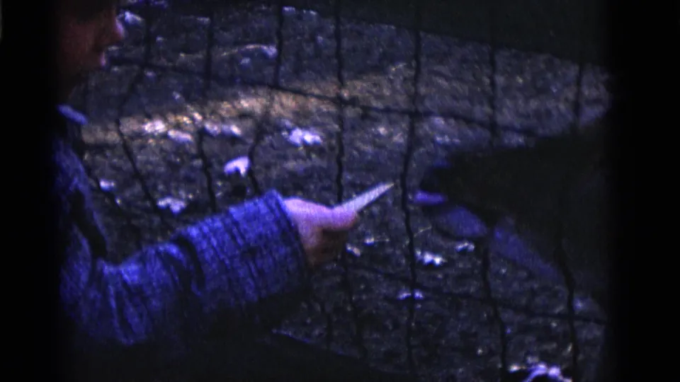 A child in a blue sleeve reaches toward a small animal behind a fence in Camden 1961 home-movie footage.