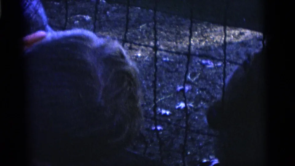 1961 Camden zoo footage shows deer behind wire mesh as a small hand reaches in from the side.
