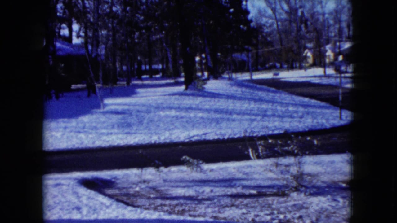 Snow-covered residential lawn and street with bare trees and houses in the distance.