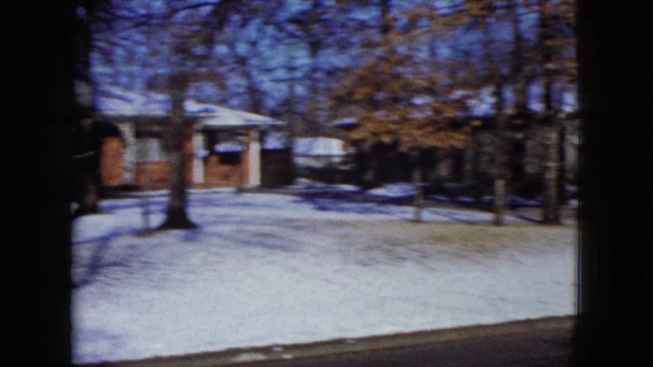 Snowy yard with bare trees and single-story houses beyond the street.