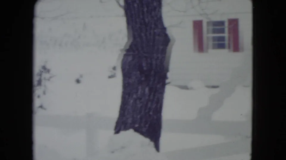 1960 Madison home-movie frame showing a snow-covered residential yard, foreground tree trunk, and house window with red shutters.