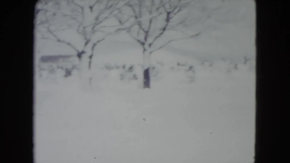 Bare trees and a snow-covered yard dominate the frame as the dog is faintly visible near the lower area of the 1960 Madison scene.