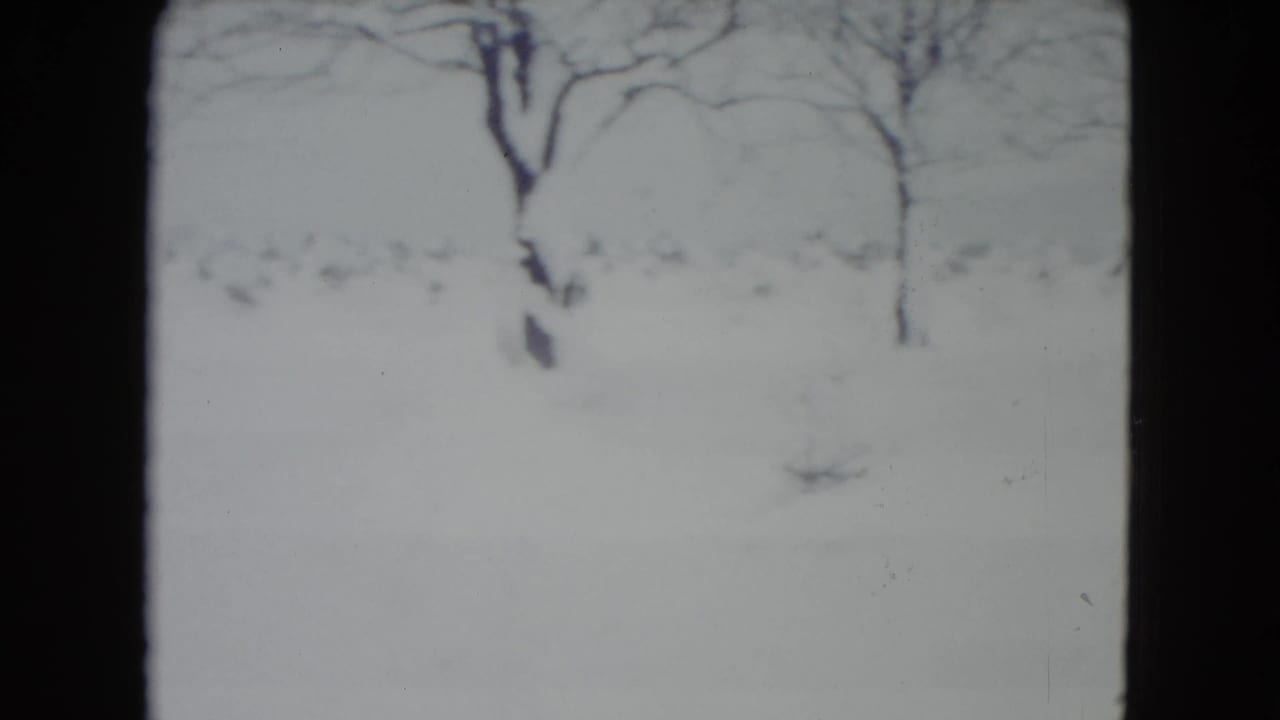Snow-covered yard with bare trees seen through soft 8mm framing.