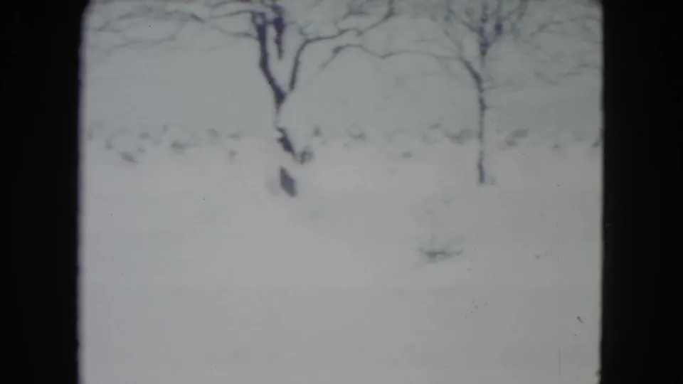 Madison, Wisconsin 1960 home-movie frame of a snowy yard with leafless trees and pale winter light.