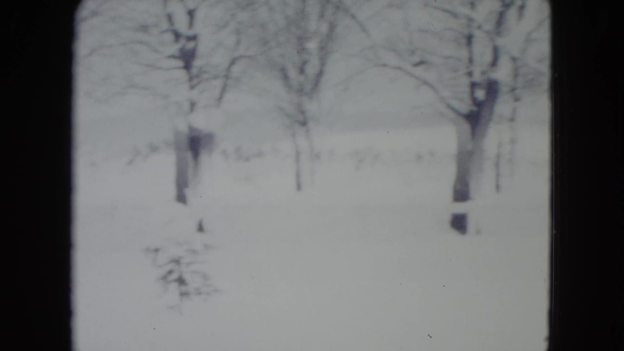 1960 Madison winter frame showing snow, leafless trees, and a small evergreen in a residential yard.
