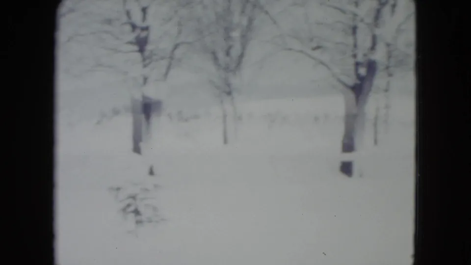 1960 Madison winter frame showing snow, leafless trees, and a small evergreen in a residential yard.