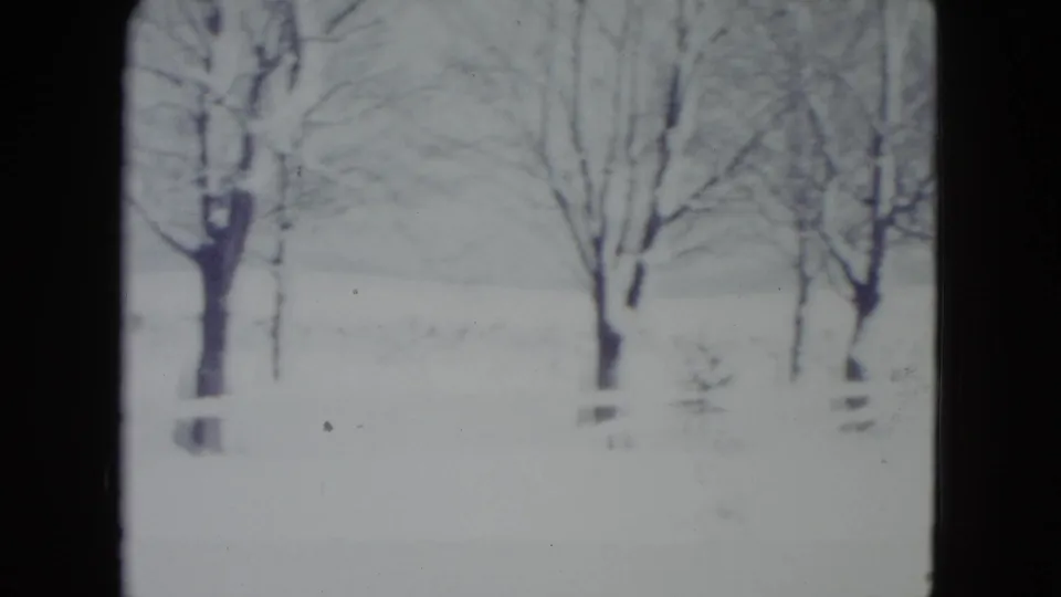 8mm frame from Madison in 1960 showing a snow-covered yard and bare winter trees in soft focus.