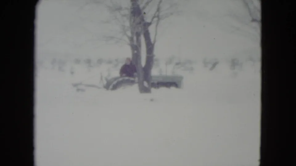 The tractor moves close to a large leafless tree as the bundled operator continues winter clearing work in rural Wisconsin.