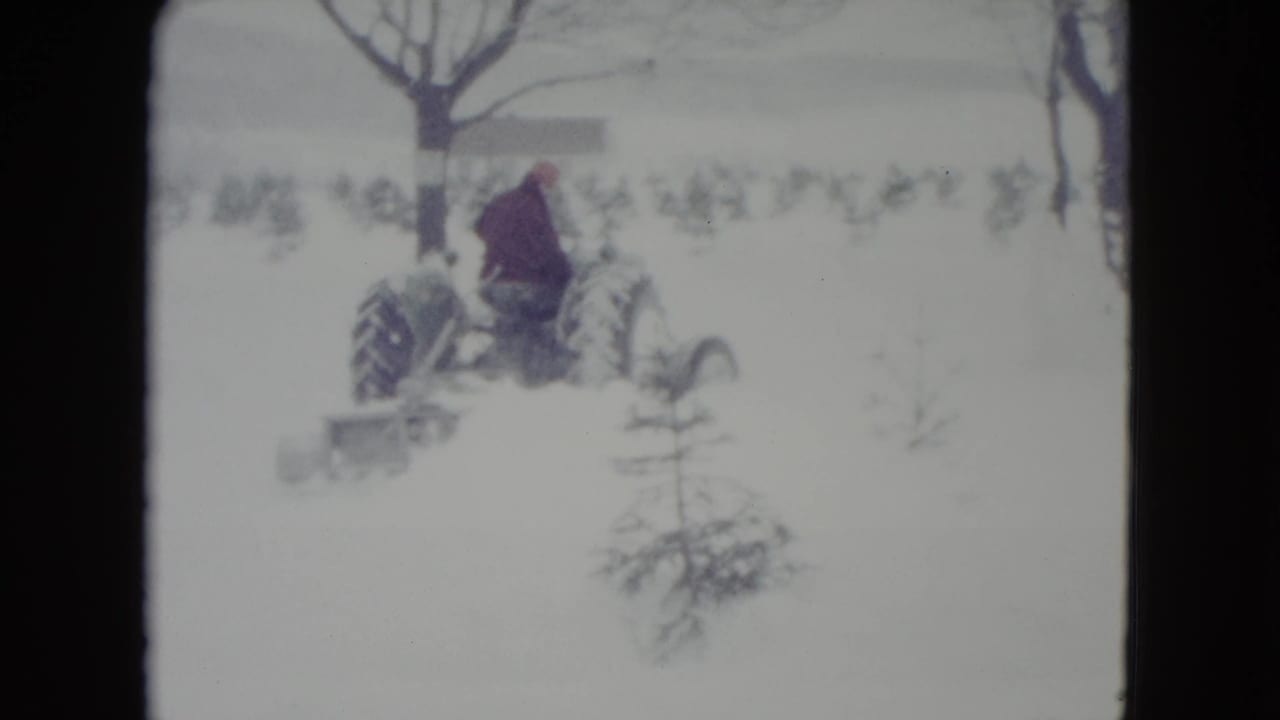Man on a tractor with a blade moving through deep snow near bare trees.