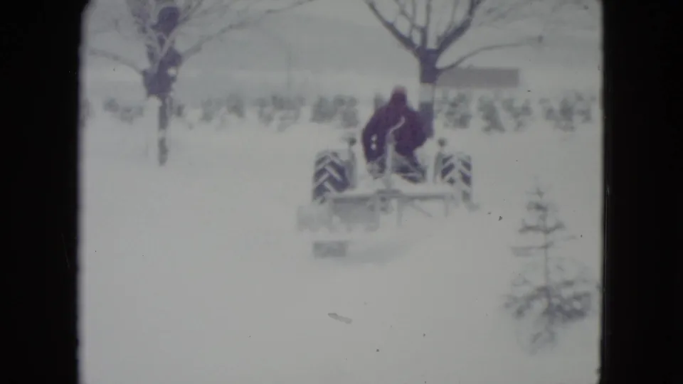 A bundled tractor driver in 1960 Madison works through deep snow near a small evergreen and leafless winter tree.