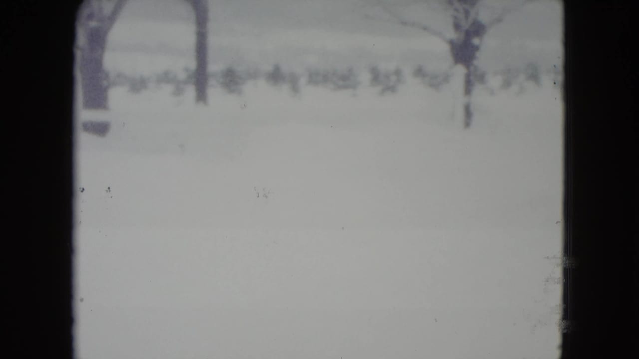 Snow-covered field with bare trees and dark film frame edges.