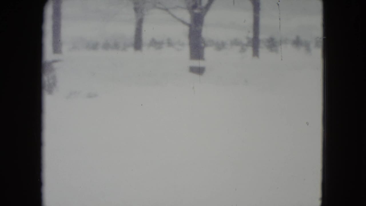 Snowy field and bare trees seen through a soft 8mm frame.