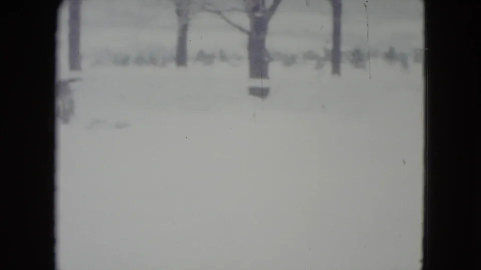 Soft 8mm view of a Madison winter field with bare trees and deep snow before the snow-clearing action is visible.