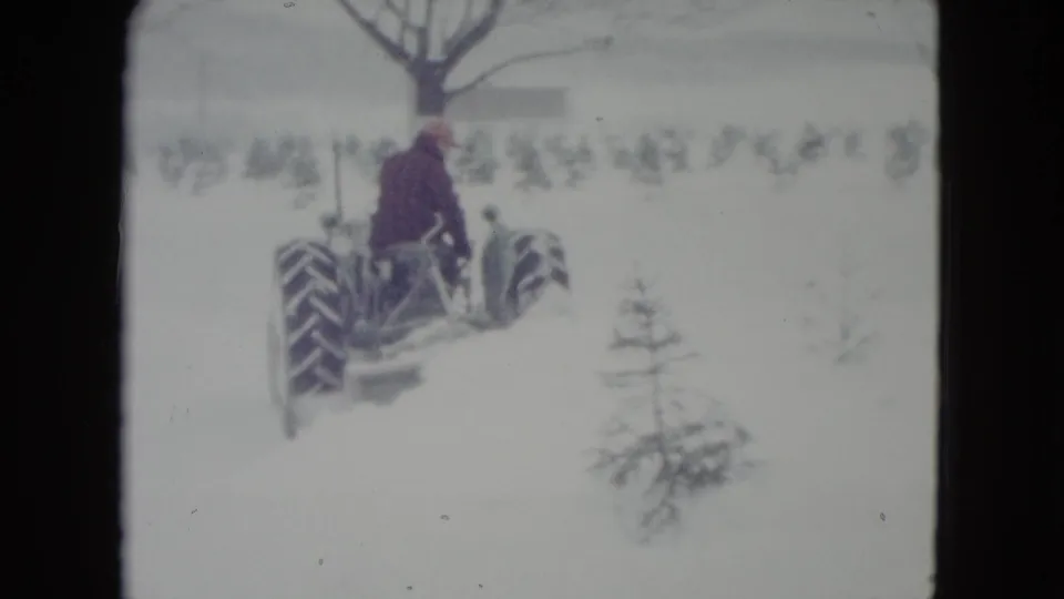 1960 Madison winter footage shows a man on a tractor using a blade implement near small evergreens and bare trees.