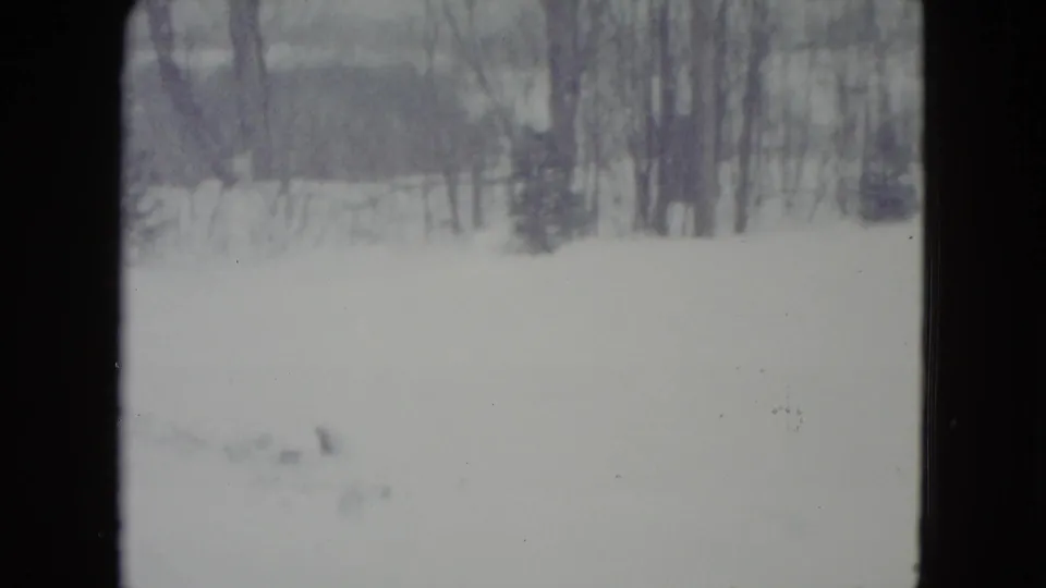 A soft 8mm view of snow-covered ground near Madison, Wisconsin, with bare winter trees and small evergreens visible beyond the field.