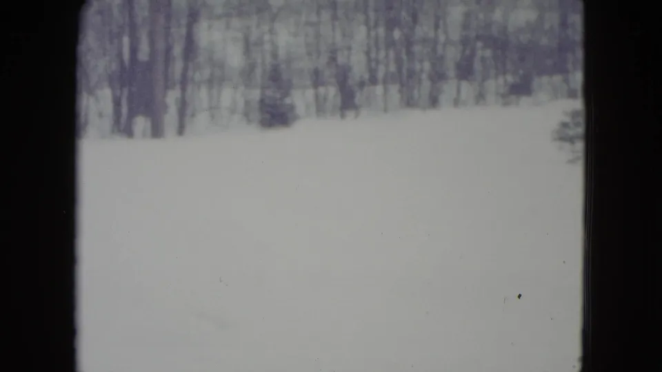 The final frame shows an empty snow-covered field near Madison, Wisconsin, with bare trees and a small evergreen in soft winter light.