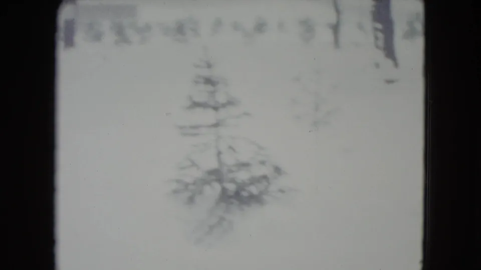 1960 Madison, Wisconsin 8mm still showing a small evergreen against an overexposed snow-covered field.