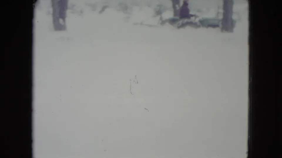 1960 Madison, Wisconsin home-movie frame of a bright snowy landscape with bare trees and visible 8mm frame edges.