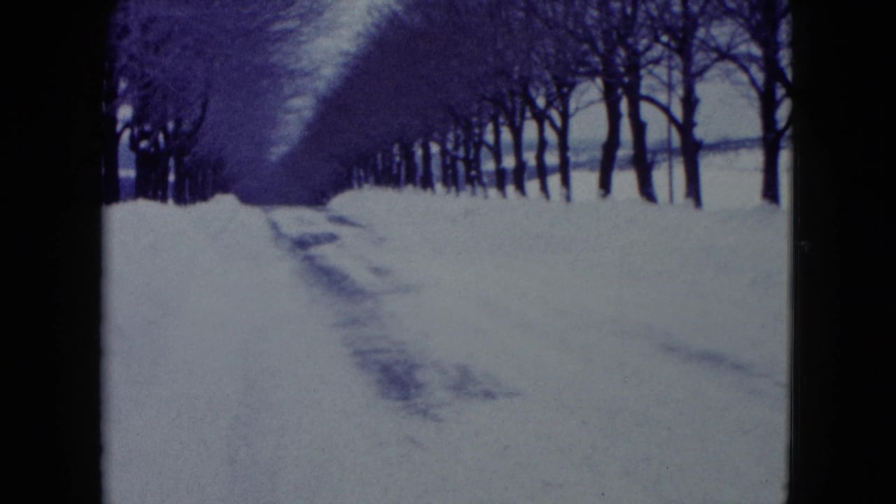 1960 Madison 8mm frame showing a snow-covered path lined with leafless trees, with open winter ground beyond.