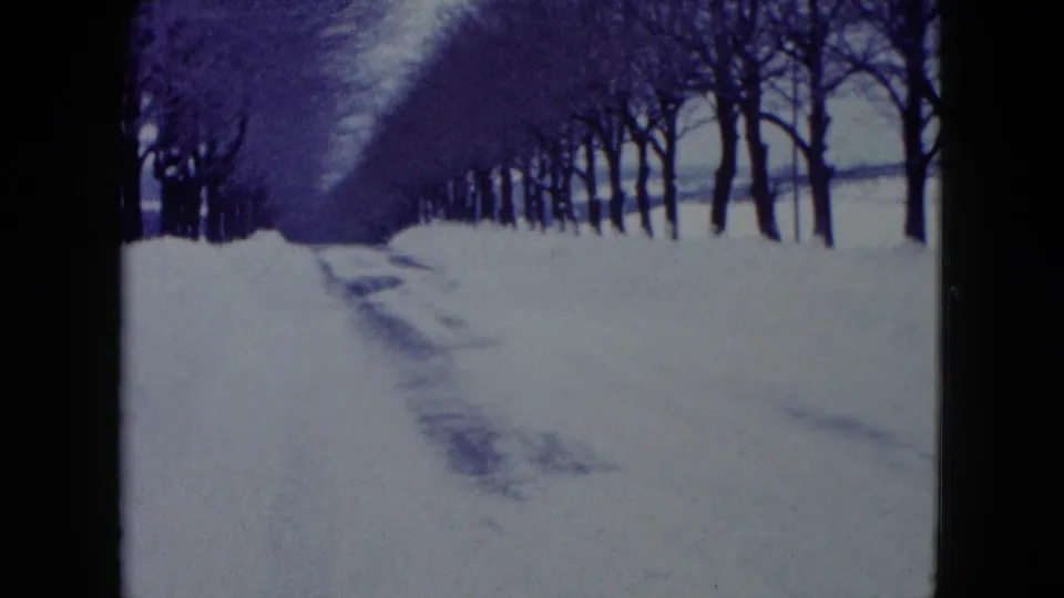 1960 Madison 8mm frame showing a snow-covered path lined with leafless trees, with open winter ground beyond.