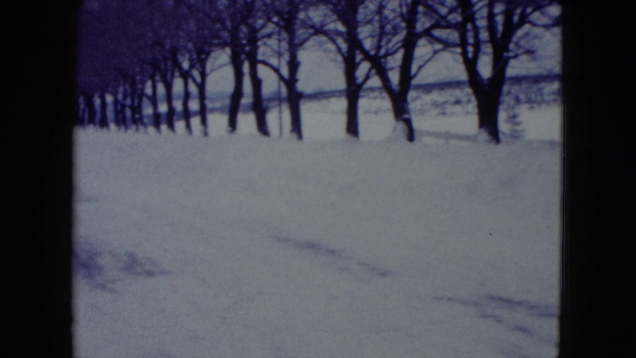 Snowy roadside trees beside an open field, framed by 8mm film edges.