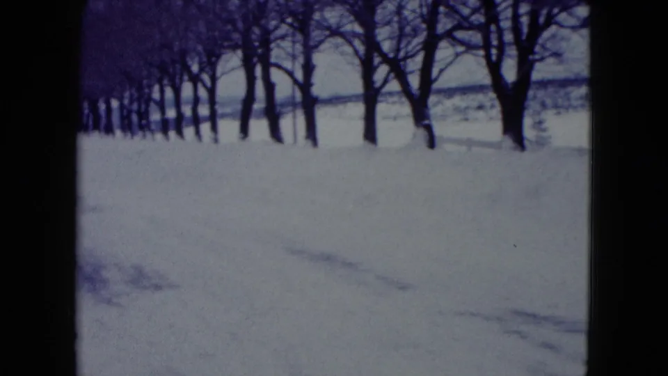 1960 Madison winter view with leafless trees along a snowbank and open snowy field in the background.