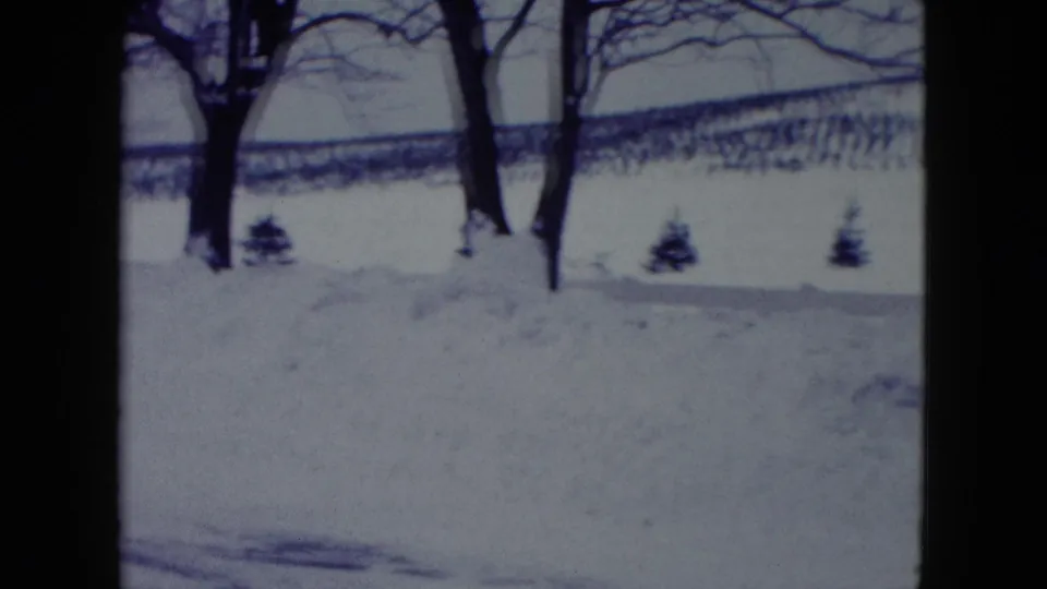1960 Madison winter landscape with snowdrifts, leafless trees, small evergreens, and a field visible through the tree line.