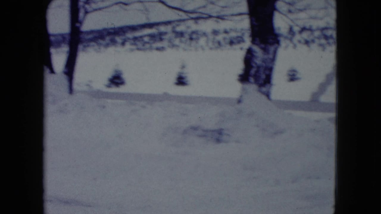 Snowy yard with bare trees, shrubs, and deep snow near a residential house.