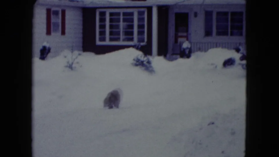 A small dog crosses deep snow in front of a Madison house, with porch details and large windows visible behind it.