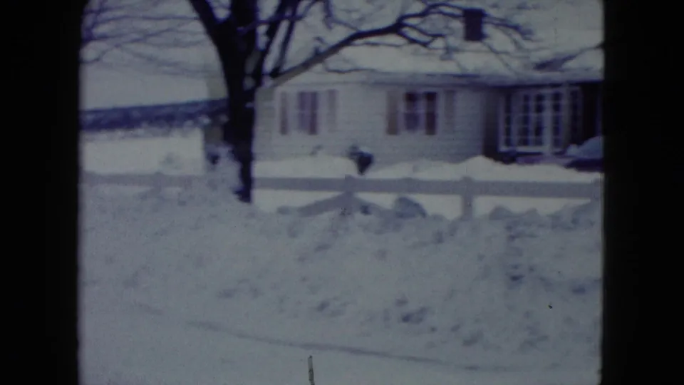 The dog appears near a snow-covered residential yard in Madison, with a house, bare trees, and a low white fence visible.