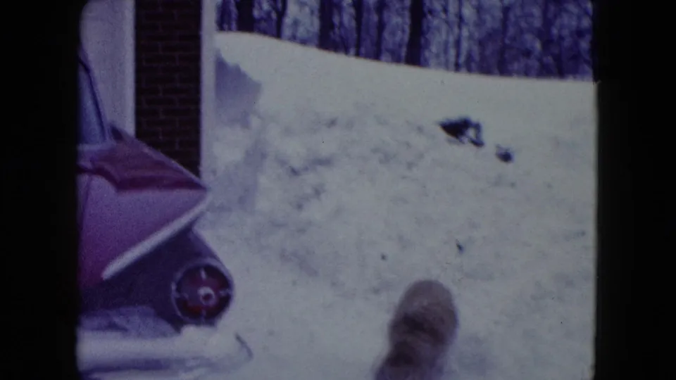 1960 Madison, Wisconsin home-movie frame showing a small dog in deep snow near a house wall and winter woods.