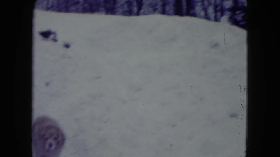 1960 Madison, Wisconsin frame of a snow-covered yard with a small dog near a low fence and wooded winter background.