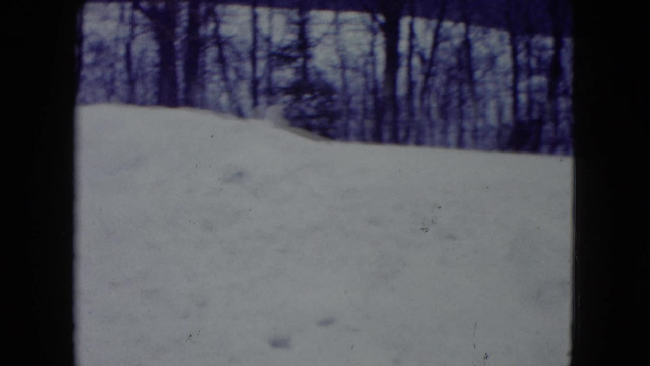 1960 Madison-area 8mm frame showing a snowy open field bordered by leafless trees under a cool blue-purple cast.