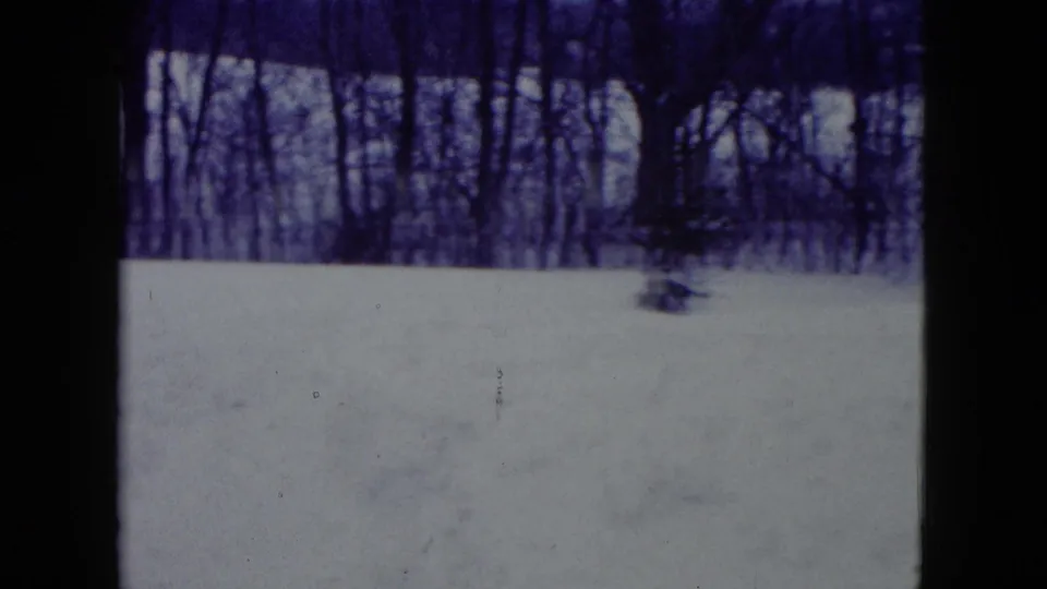 Snow-covered Madison-area landscape with bare trees, a small shrub, and visible 8mm frame edges.