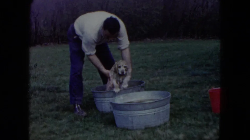 1960 home-movie frame of an adult man washing a small golden-colored dog in a metal tub on a grassy lawn.