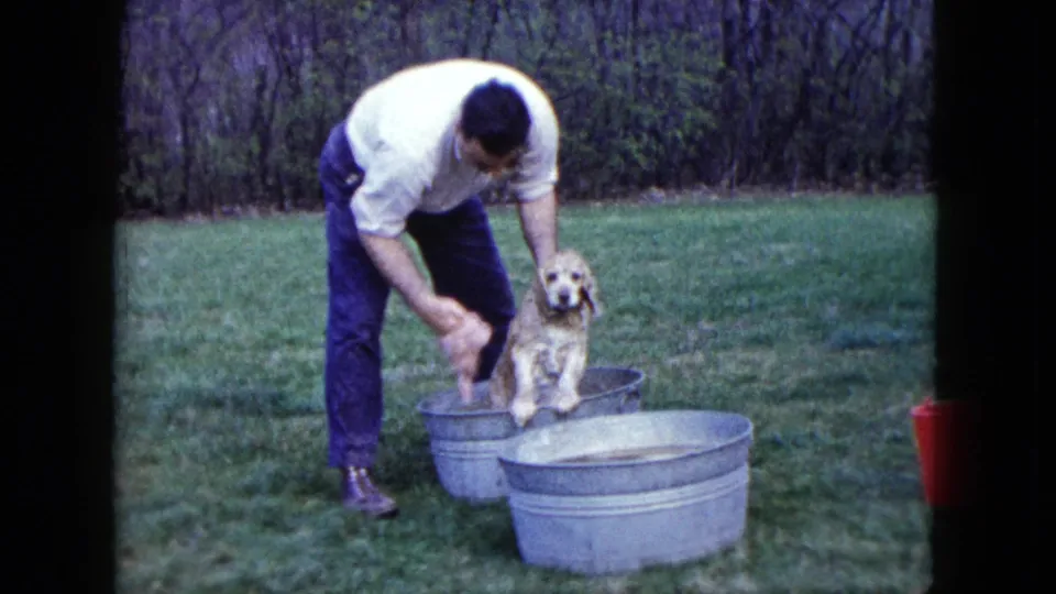 Madison-area 1960 8mm frame showing an adult man washing a small dog outdoors, with a second metal tub nearby.