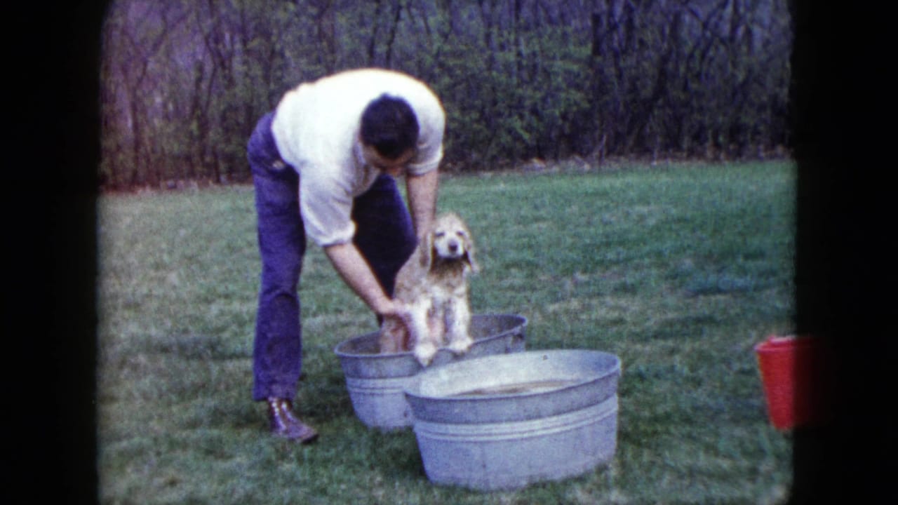 Man reaches into the tub while the cream-colored dog sits facing forward.