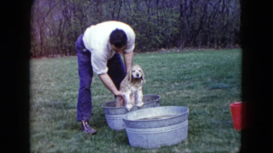 The man continues washing the dog in a metal tub on a grassy Madison lawn, with another tub in front.
