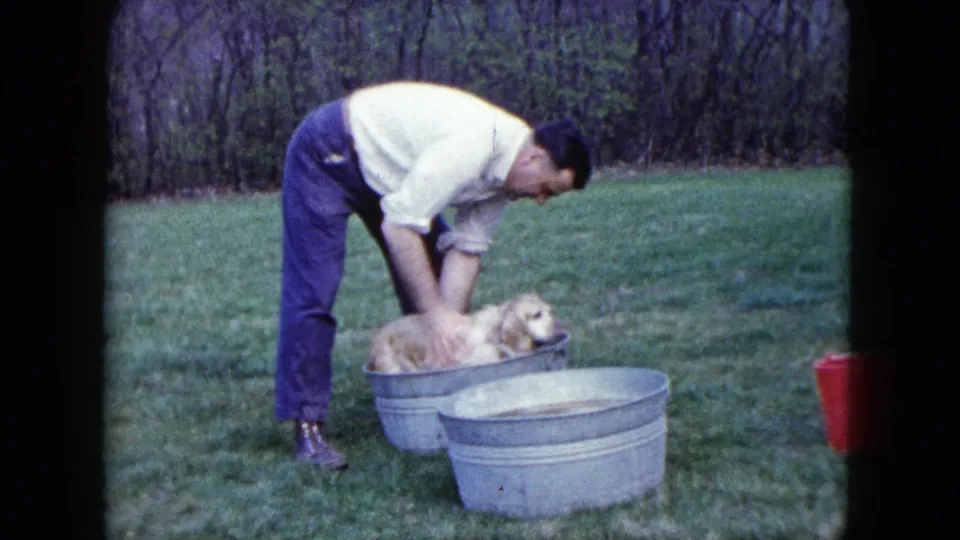 The dog lies lower in the wash tub as the man bends over it, continuing the outdoor bath in the 1960 home-movie scene.