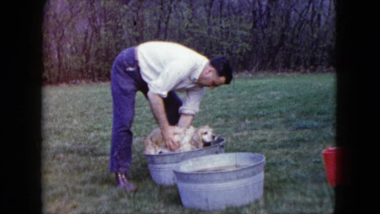 Man bends over a metal tub washing a golden-colored puppy on a grassy lawn.