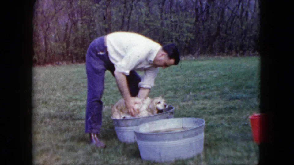 In 1960 Madison, Wisconsin home-movie footage, a man in a white shirt washes a golden-colored puppy in a metal tub beside another tub on grass.