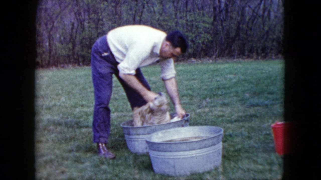 Man leans over a puppy sitting in a metal tub with a second tub nearby.